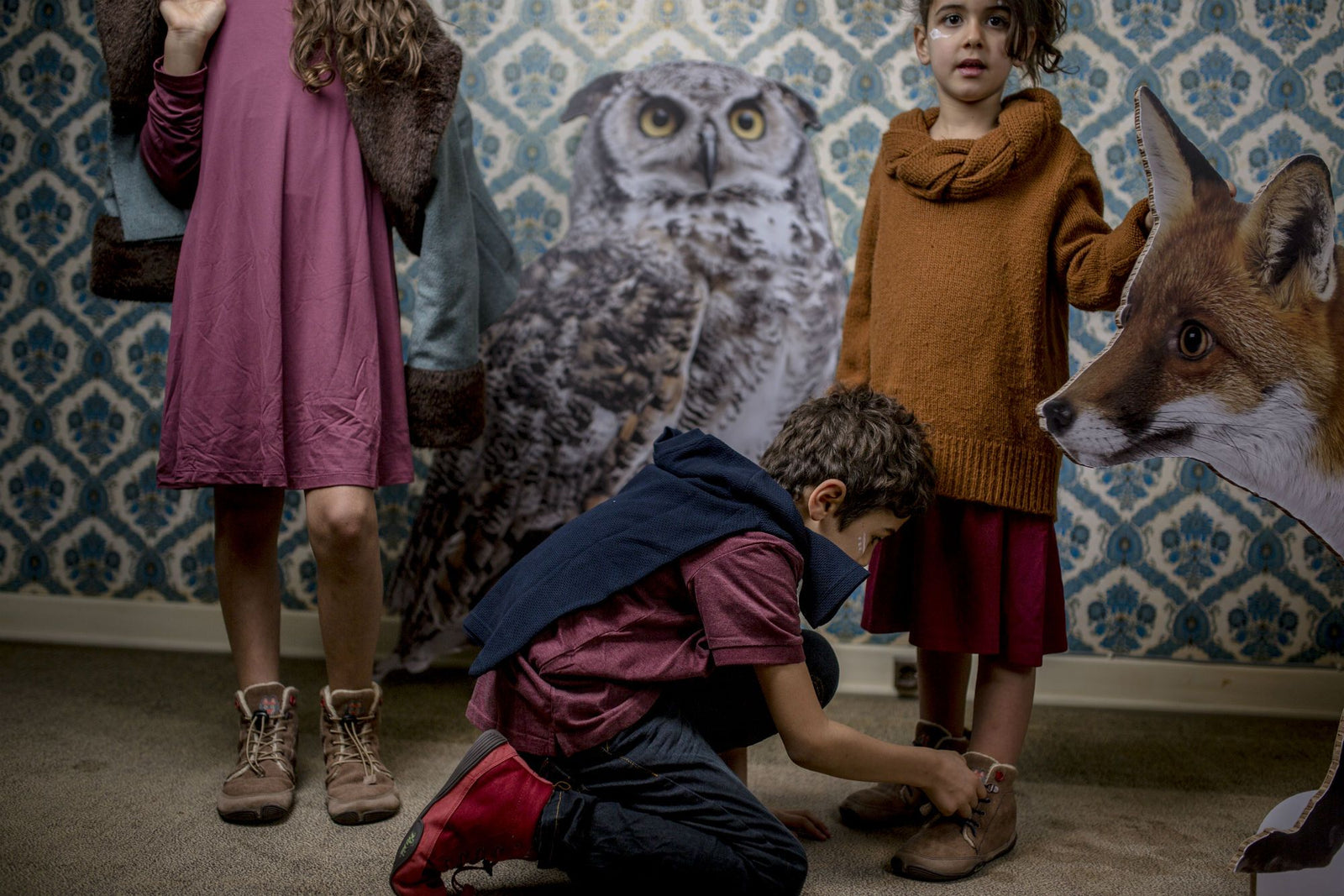 Wilde Pfoten richtig ausmessen