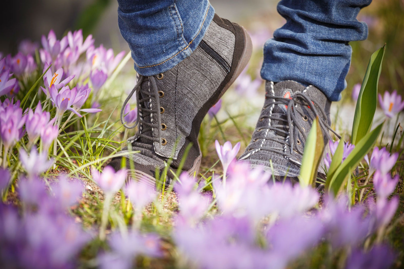 Das Deltaband: Mehr Kraft für wilde Pfoten