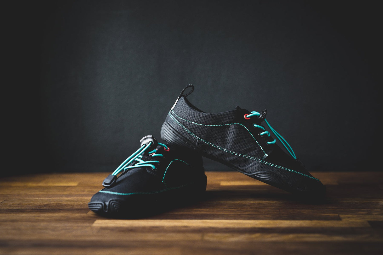 Tanuki Yoru Wildling